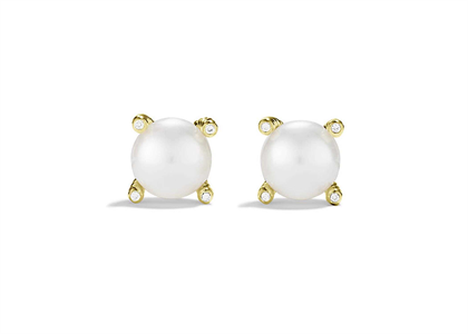 Gold Plated CZ Studded Pearl Set Stud Earring